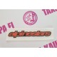 Alpinestar tarra