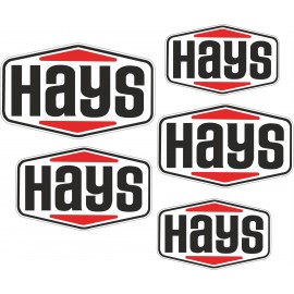HAYS SARJA