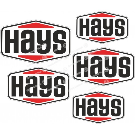 HAYS SARJA