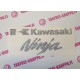 KAWASAKI