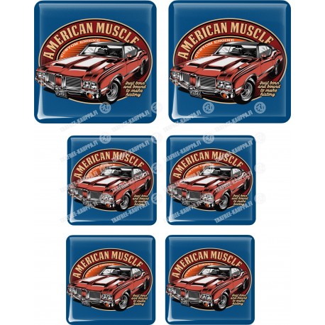 AMERICAN MUSCLE KOKOELMA