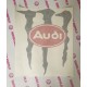 AUDI MONSTER TARRA