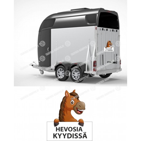 VAROITUSTARRA HEVOSIA KYYDISSÄ
