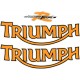 TRIUMPH STREET