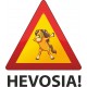 VAROITUSTARRA HEVOSIA