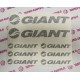 GIANT