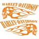 HARLEY DAVIDSON