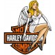 HARLEY DAVIDSON
