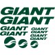 GIANT
