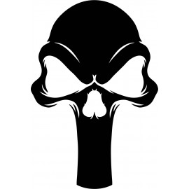 PUNISHER