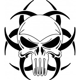 PUNISHER