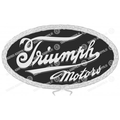 TRIUMPH MOTORS