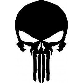 PUNISHER 