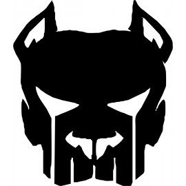 PUNISHER