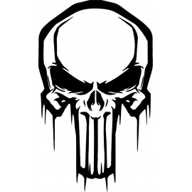 PUNISHER 