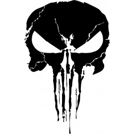 PUNISHER 