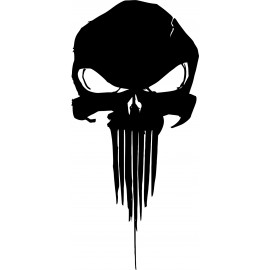 PUNISHER 