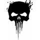PUNISHER 