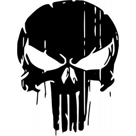PUNISHER 
