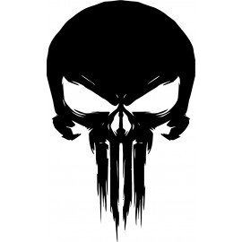 PUNISHER 