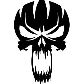  PUNISHER 