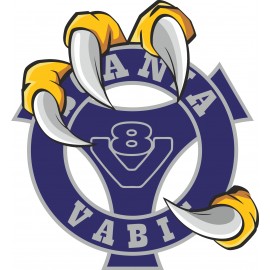 SCANIA VABIS V8
