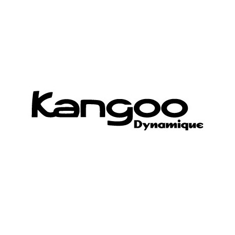 RENAULT KANGOO DYNAMIC