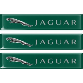 KOHOTARRAT/JAGUAR