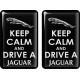 KOHOTARRAT/KEEP CALM AND DRIVE A JAGUAR