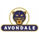 AVONDALE