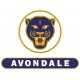 AVONDALE