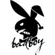 BAD BOY