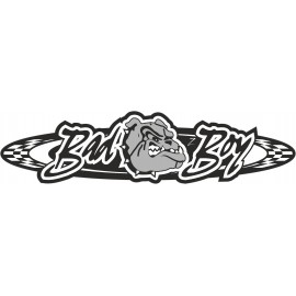 BAD BOY