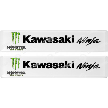 KAWASAKI NINJA MONSTER KOHOTARRAT