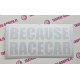 BECAUSE RACECAR